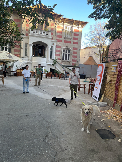 Intalnirea catelusilor TotoMeet la o cafenea din Bucuresti